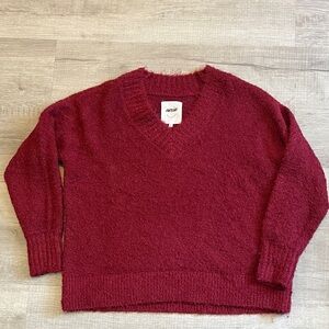 Aerie Deep Red V-Neck Sweater.